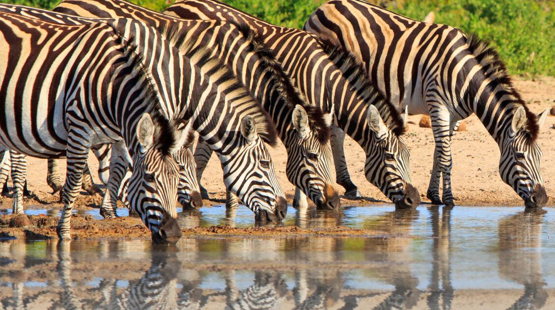 Zambia Travel Guide